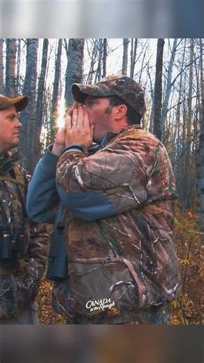 Where to Find and How To Call Moose | Moose FACTS Part.3 #animals #moose #hunting #tips #facts