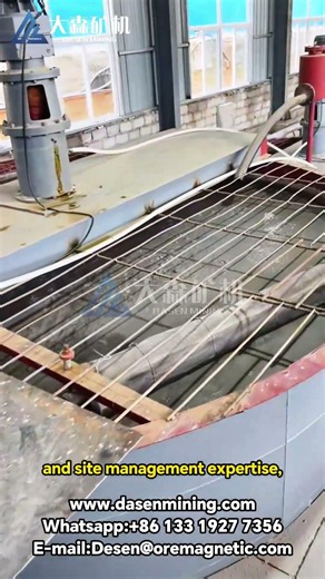 Gold Mine Cyanidation EPC Project – Complete Turnkey Service