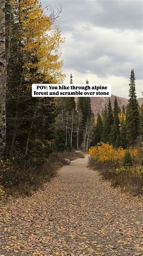 Where water pours straight through the mountain into a cave. It’s short scenic and unforgettable. Just remember there’s a slippery scramble required to reach the opening into the cave. 📍Donut Falls 🥾3.3 miles with 508 ft elevation gain 💵 $10 fee for trailhead parking or free with National Parks or forest pass 🚫No Dogs, swimming, wading or standing in the falls due to watershed 🚻bathrooms at trailhead 🅿️Mill D North Fork Trailhead 🚮pack out all trash and food waste 🎥 @fallsintolove Save f