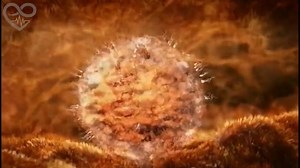 De la fécondation a la naissance...très Impressionnant