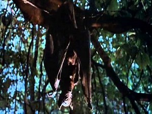 Devils of Darkness (1965)