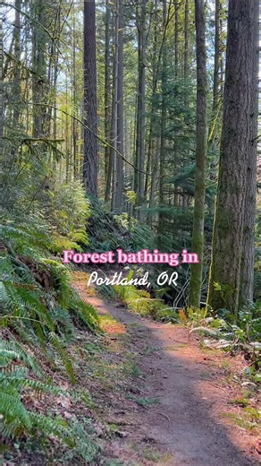 Exploring Wildwood Trail: Nature Walks in Portland