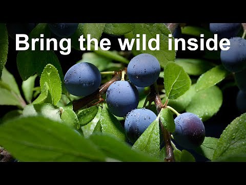 Tabletop studio photography
