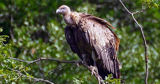 Invitation au voyage - Épisode 1719