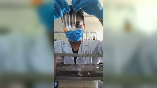 DPPH自由基清除能力