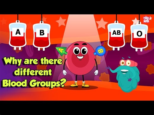 Your Body:Different Blood Types - Why Are There Different Groups