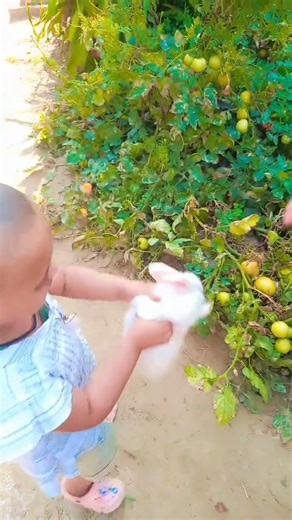 Dhritu msti krhi cute se rabbit k stha 🥰🍫💞🐇🐇🐇🐰