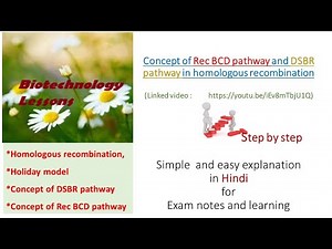 Holiday model, Concepts of recbcd pathway and DSBR pathway in homologous recombination