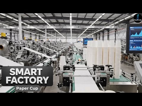 How Is Paper Cup Made in a Smart Factory? | Full Manufacturing Process