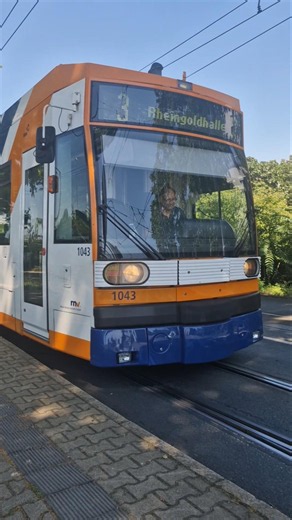 Linie 3 zur Rheingoldhalle #train #tram #rnv #düwag