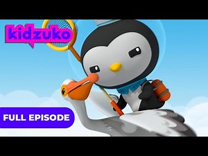 ‪@Octonauts‬ - 🐦 The Pelicans 🌊 | Full Episodes | Season 3 | ‪@Kidzuko‬