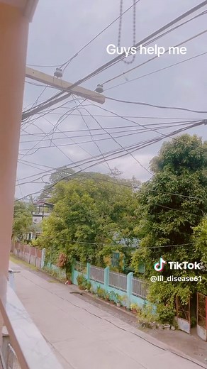 Lepidodendron Tree: Extinct Tree Sighting and Warning