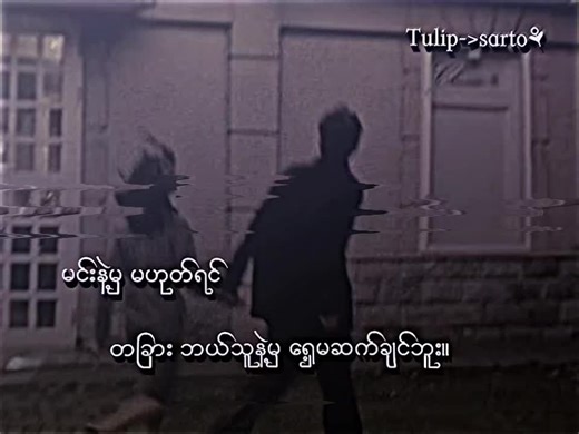 Tulip Flower Significance in Myanmar