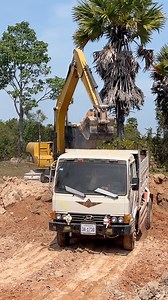 11K views · 67 reactions | Dump truck and excavator work in the forest | Actions | Facebook