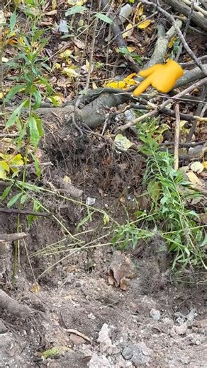 Unearthed Crazy AMAZING OLD Antique Bottle - Bottle Digging Canada 🔥 #shorts #history #vintage