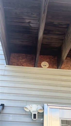 🏡 Professional Pest Control Services – Safe, Effective, and Reliable! 🦟🐜 Are pests invading your home or business? Don’t let unwanted guests disrupt your peace! Our expert pest control services ensure a clean, safe, and pest-free environment using eco-friendly and effective treatments. ✅ Comprehensive Pest Removal – Termites, cockroaches, rodents, bed bugs & more ✅ Safe for Families & Pets – Non-toxic, eco-friendly solutions ✅ Licensed & Experienced Professionals – Trusted service, guaranteed