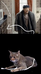 Cat Finds Mistake in HOME ALONE Blowtorch Scene #homealone #cat #christmasmovies