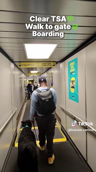 Another day, another reminder of how versatile a Giant Schnauzer can be. With clear training and consistency, you get a dog that can go anywhere with you… as long as there’s space 😭😂 P.S. We train dogs all over the country if you want a premium experience for your dog DM us! #dogtraining #dog #airport #giantschnauzer #fyp #giantschnauzers #giantschnauzerpuppy #dogbehavior #atlanta