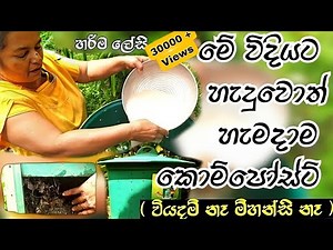 කොම්පෝස්ට් පොහොර | Compost sinhala | කොම්පෝස්ට් බදුන පාවිච්චි කරන හරිම විදිය | හැමදාටම පොහොර 2021