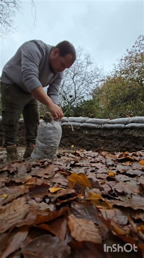 part 2 of the hobbit house build #hobbithouse #building #bushcraft #construction