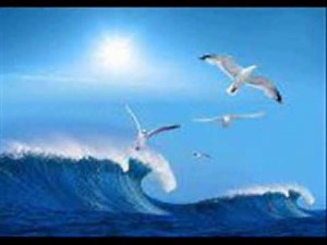 TURAN ŞENGÜL - MARTILARIN KANADINDA UÇUR BENİ.