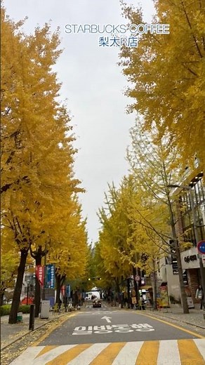秋のソウル 2025.11 #カロスキル、#安国、#ソスンラギル、#銀杏並木 #ソウル #ソウルカフェ #韓国