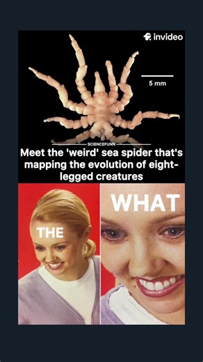 Science Is Fun on TikTok