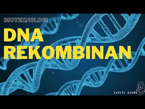 DNA Rekombinan - Pembuatan Insulin