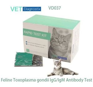 [Hot Item] Feline Toxoplasma Gondii Igg/Igm Antibody Test Cat Symptoms of Toxoplasmosis