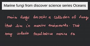 Marine fungi from discover science series Oceans ... | Filo
