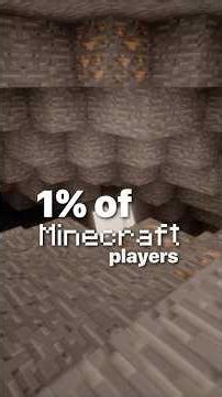 Minecraft But It's An Instagram Reel