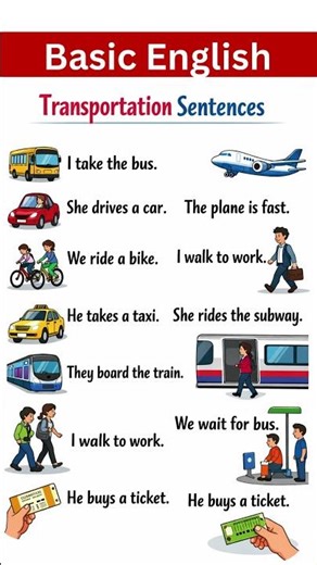 Basic English Transportation Sentences | Easy Daily Phrases for Beginners