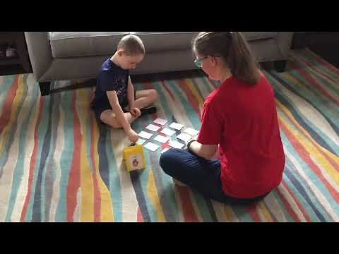 Pyramid Model Video 3: Using a "My Turn/Wait Card" to take turns