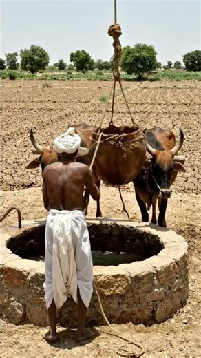 "Ancient desert wisdom—saving every drop through traditional water conservation methods"#viral"