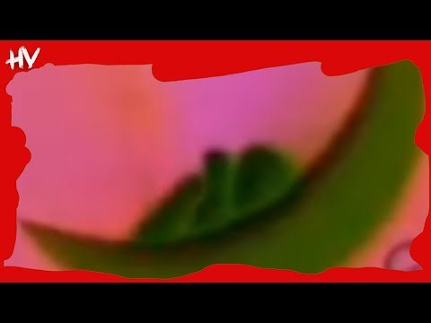 cbeebies bedtime ident (horror version)