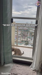 47K views · 620 reactions | They are way smarter than we think  | 5-Minute Crafts USA | Facebook