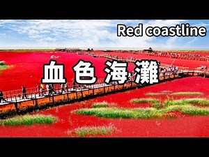 A unique red coastline around the world! The beach sand is stained with blood-red color resembling