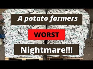 grading potatoes - a day on the farm grading potatoes and a PCN explanation