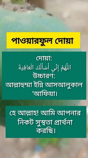 2M views · 34K reactions | The history of #photography began with...