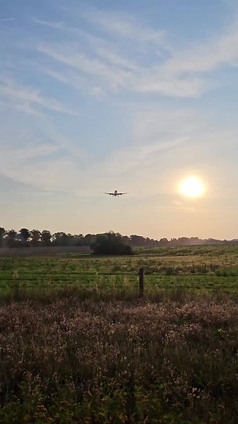 Qatar B787 in sunrise✈️✈️ #B787 #boeing #qatar #sunrise #aviation #foryou #landing