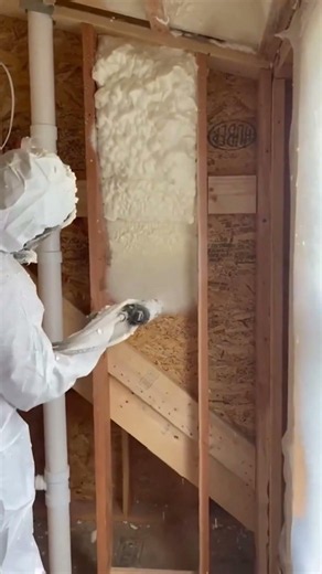 The incredible secret behind the aerosol that transforms your home instantly