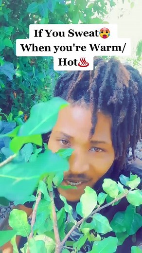 Understanding Body Temperature Responses to Weather