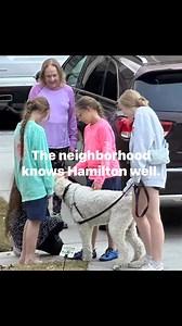 Denise Jackson on Reels