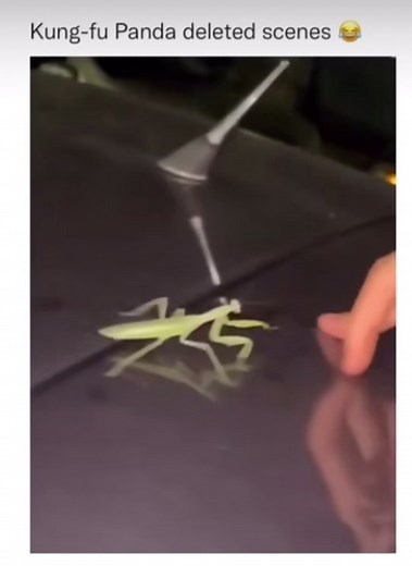 #fup #funny #hilarious #blowthisup #fyp #viral #memes