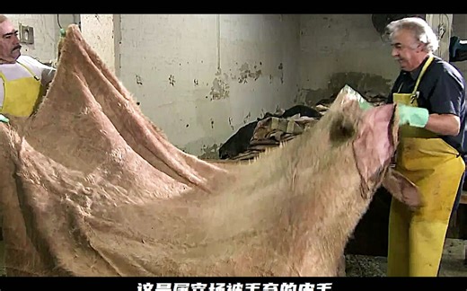 原来一文不值的动物皮，这样处理就变成了昂贵的真皮