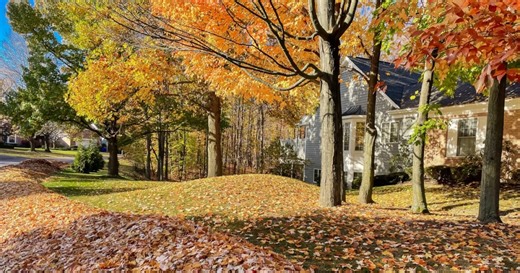 Henrico leaf collection program offers multiple options for residents this fall