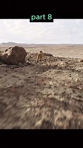 274K views · 8.7K reactions | Simba escaped death #fypシ゚viralシ2024fyp #fypシ゚ #love #lions #lionking | Prince Omoha Sampson Maduabuchi | Facebook