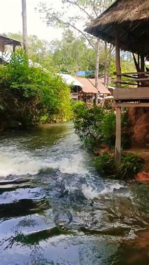 Greens colour #shorts #fifa #football #nature