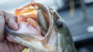 Poppers for Matted Grass - Major League Fishing