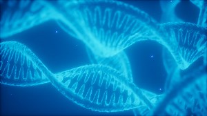 Structure of the DNA double helix animation | Premium Stock Video Footage